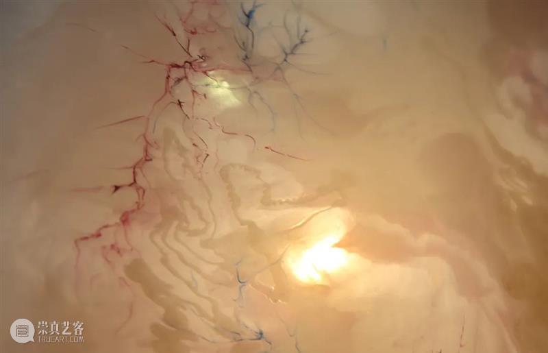展览回顾 | 回响 ECHO 视频资讯 张嘉宁 ECHO 策展人 Curator 陆佳 Jia 艺术家 Artists 何艺雯 严许雨 张嘉宁 崇真艺客